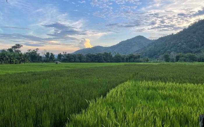 Baan บ้านสวนวิวทุ่ง