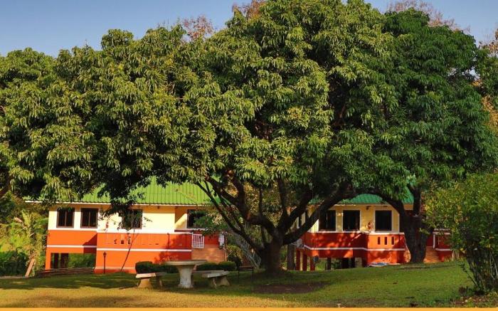 ViangPhing Resort