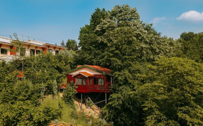 The Canyon Hotel & Resort