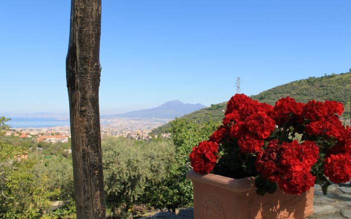 Agriturismo Casa Scola 