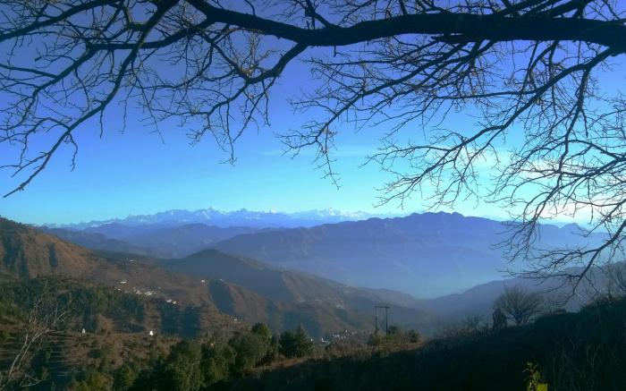 In Apple Estate Kanatal
