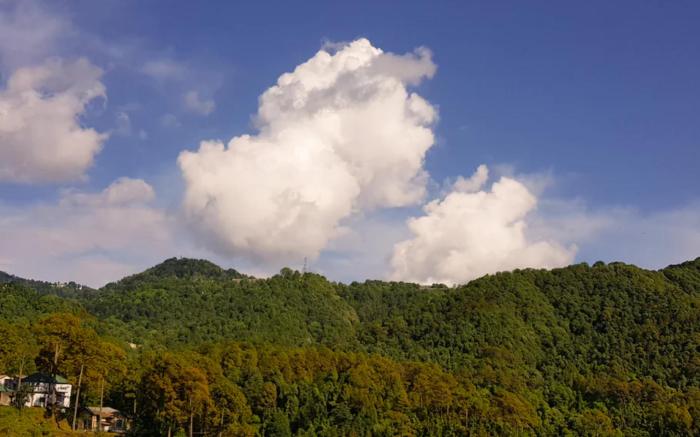 Goroomgo Delight Home Stay Dalhousie