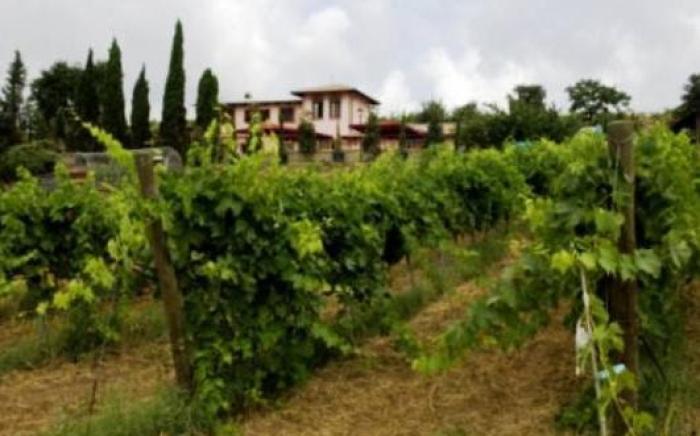 Azienda Agricola Sinisi