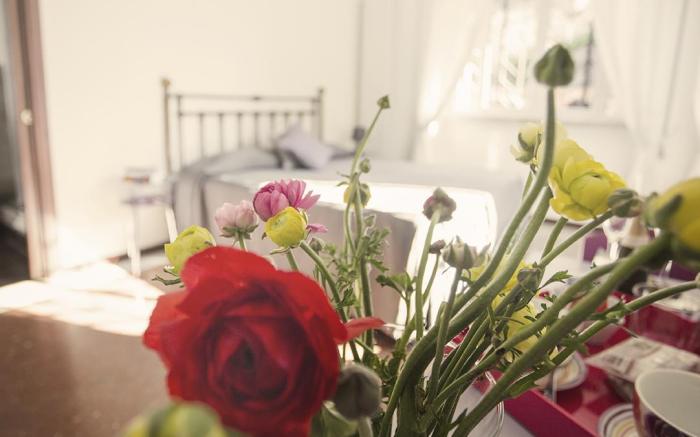 Maison Colosseo Guesthouse