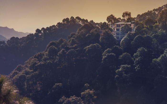 The Lalita's Majestic Pines