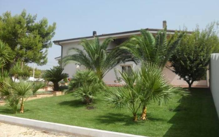 B&B Nacore
