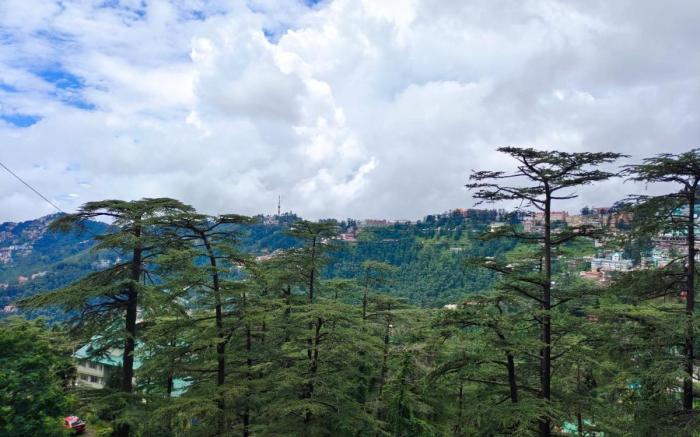 Shimla Royale