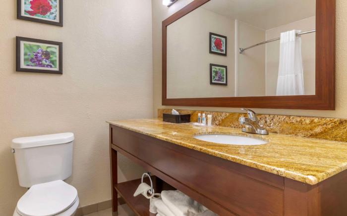 Comfort Inn & Suites Temple - Medical Center