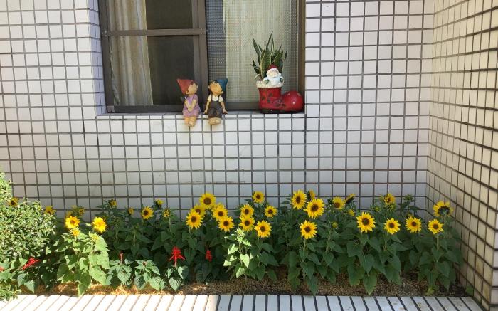 Huashan Heyuan Homestay