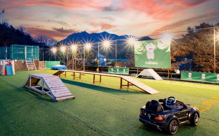 Chuncheon Dogandstay