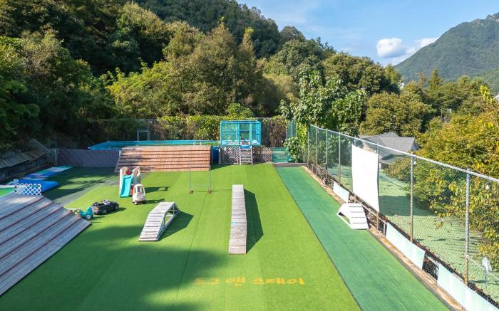 Chuncheon Dogandstay