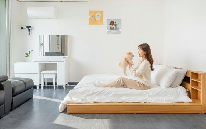 Chuncheon Dogandstay