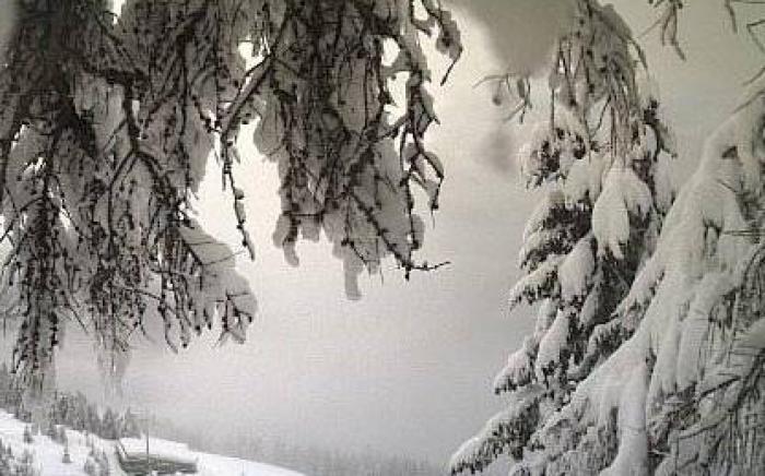 Albergo Aprica Garni