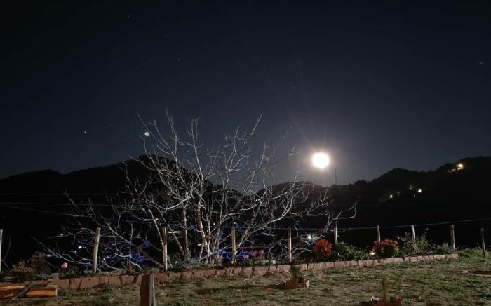 Once Upon A Forest, Nainital 