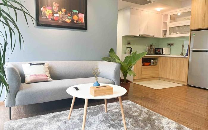 Two BR Serviced apartment in Hoan Kiem