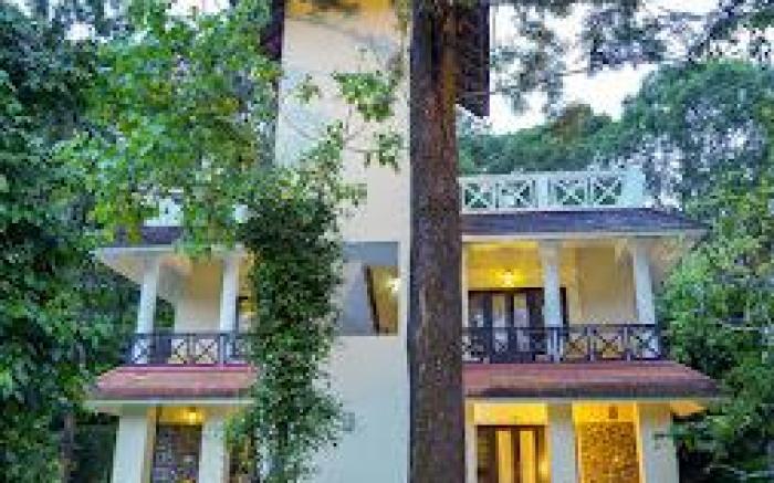 hoteltreetop