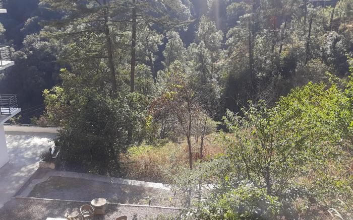 Aagaman Woods Holiday Homes