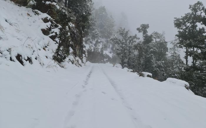 The Kanatal Arbour