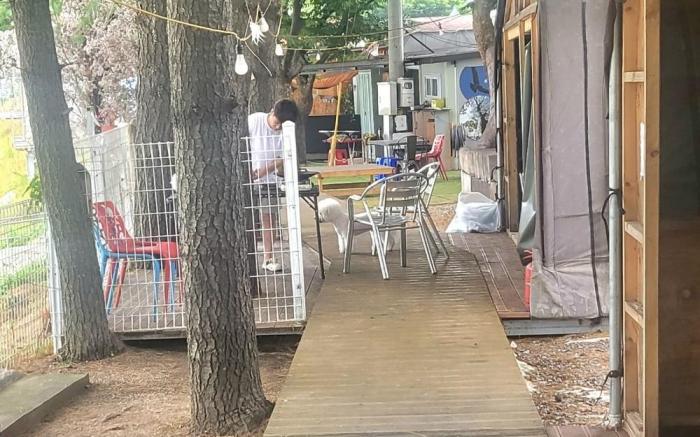 mungyeong aegyeondongban gramping gentlepet paradise