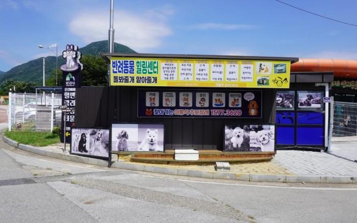 mungyeong aegyeondongban gramping gentlepet paradise