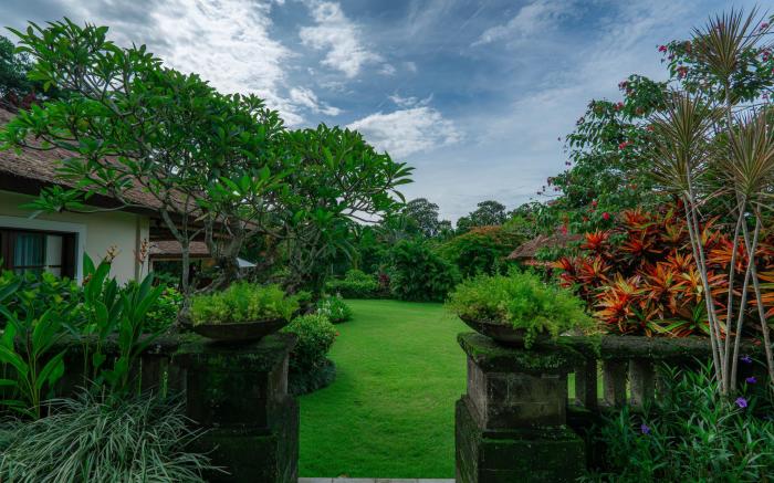 The Lotus Residence