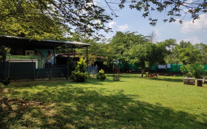 Green hills farm and guest house