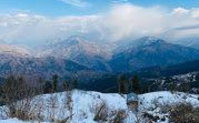 Stay With Vashisht| Serene Homely Stay at Fagu