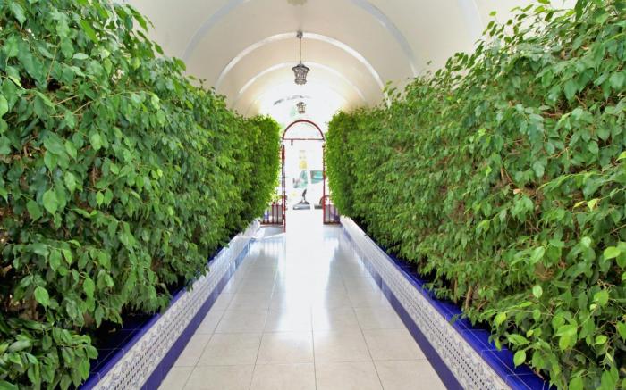 Cadiz 4-B in Benidorm