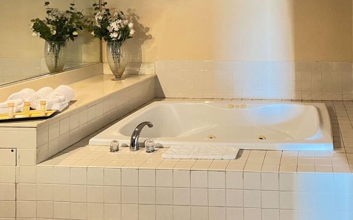 Comfort Inn & Suites Madison East - Monona