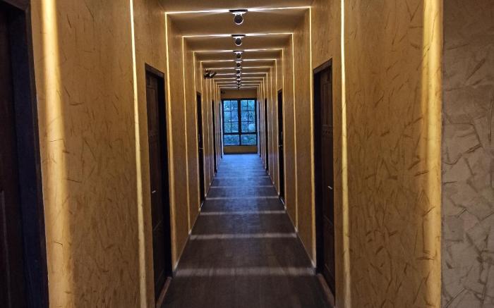 Bearry Loft 2