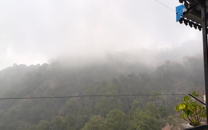 HIMALAYANVIEW KASAULI