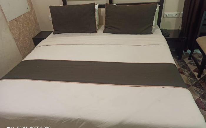 Hotel Singh Palace