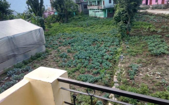 Homestay Narayankoti 