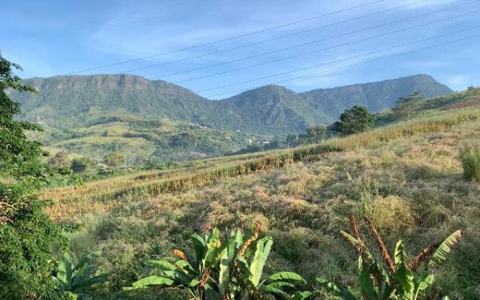 Hillside House Khao Kho