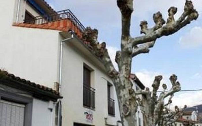 Apartamentos Hervasypunto