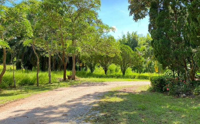 Phuphamok Valley Resort