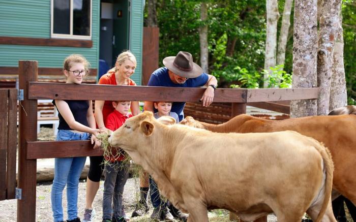 Kur- Cow Farm 35 minutes from Cairns CBD