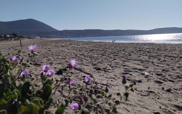 El Nido del Colibrí