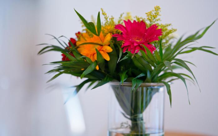 LUMA TERRA PRAGUE HOSTEL