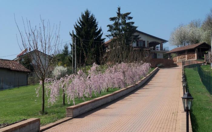 CASA DI CILIEGI - ANTICO CASALE IMMERSO IN THE GREEN OF MONFERRATO