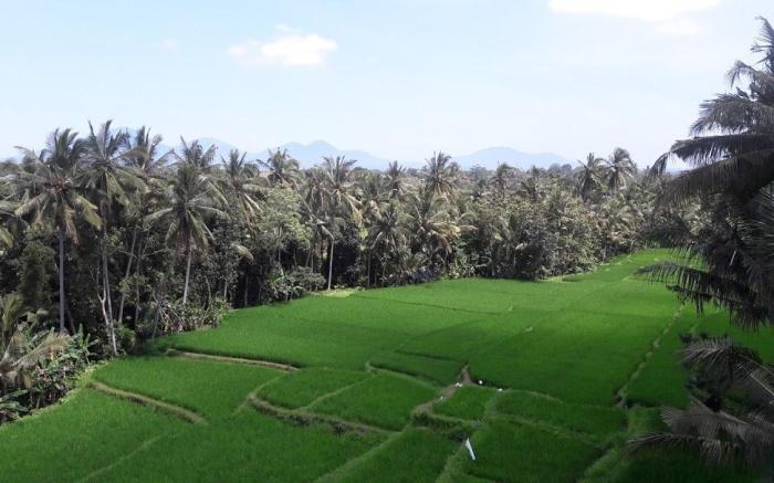 Nirwa Ubud Karma