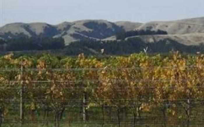 Martinborough TOP 10 Holiday Park