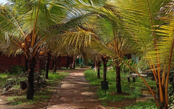 Cherai Beach Resorts