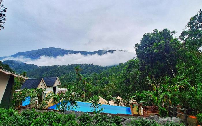 Chalona Jungle Eco Stay