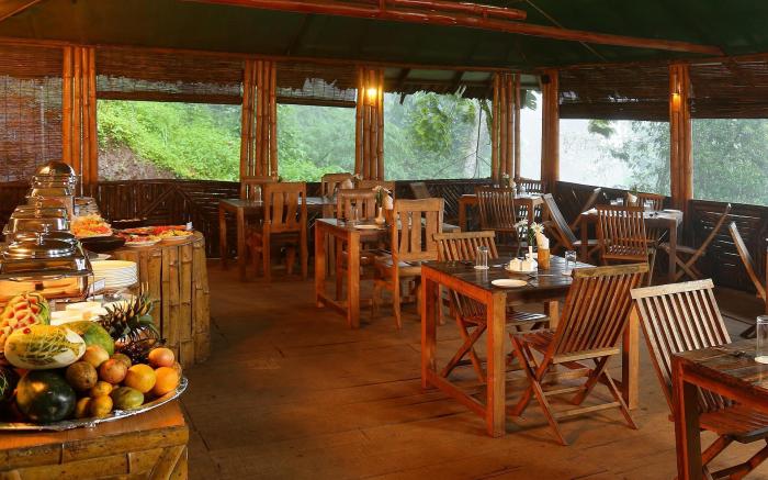 Nature Zone Jungle Resort
