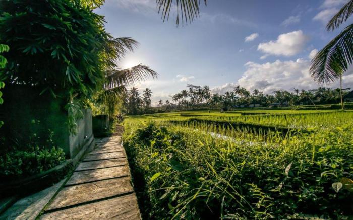 Villa Natha