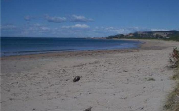 Seabrook Hotel