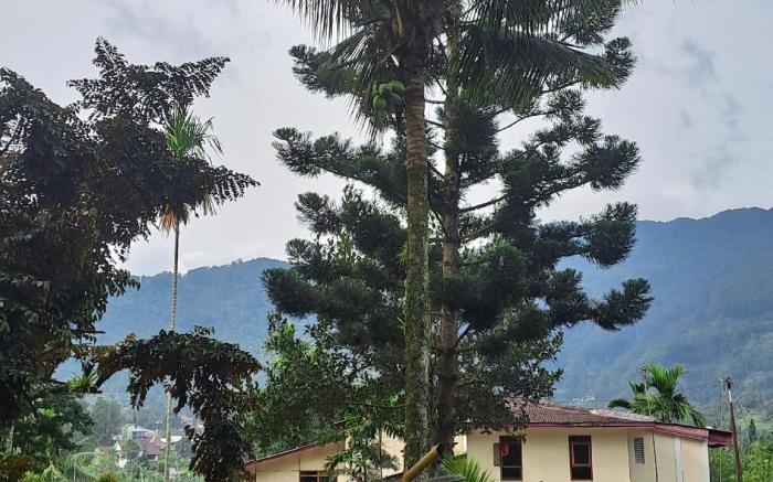 Bens Boutique Homestay 