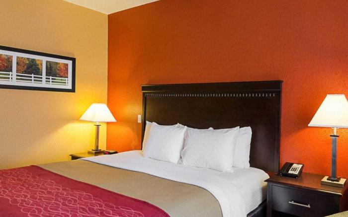 Comfort Inn & Suites Orange - Montpelier