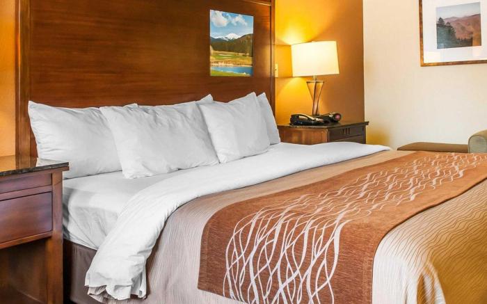 Comfort Inn & Suites Midtown